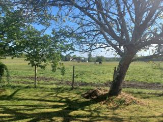 Le gîte de l'Ecurie des 3 Châteaux - 5