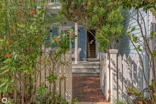 Parrotville - 8