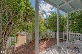 Parrotville - 7