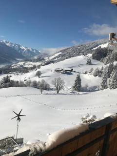 Appartement Lemberger - Biohof Stallfeld - Hollersbach im Pinzgau - 1