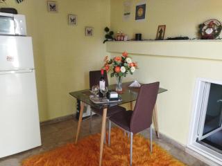 COZZY STUDIO IN NEA MAKRI - 9