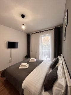 LEAF Studio - Brasov - 1