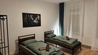 Live to Lion - Braunschweig - 1
