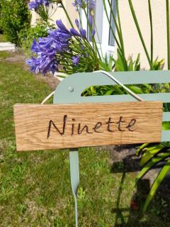 maison de vacances ninette - 7