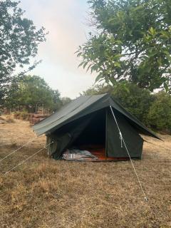 Mahabaleshwar Tent camping - 6