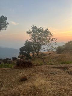 Mahabaleshwar Tent camping - 5