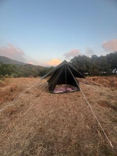 Mahabaleshwar Tent camping - 2