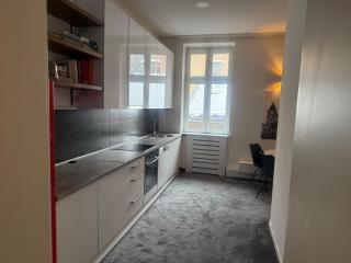 Old Town Luxe Living - Sarajevo - 8
