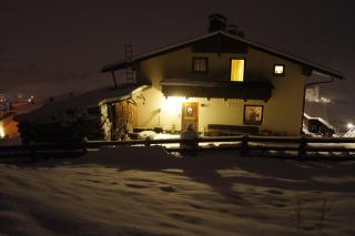 wolf.tirol - Ladis - 5