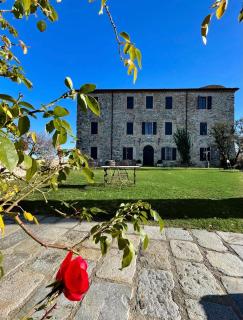 Castello di Viano - Viano - 9