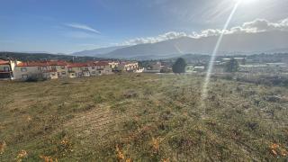 AT Las Viñuelas 17 - 9