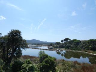 Appartement F2 Salines de Porto Vecchio - Porto-Vecchio - 3