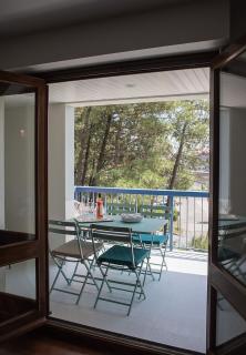Rameau - Soorts-Hossegor - 3