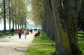 Charming Mezzanine Studio in the Heart of Morges GR45 - Morges - 3