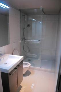 Charming Mezzanine Studio in the Heart of Morges GR45 - Morges - 7