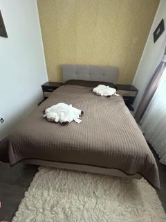 Ingrid home 3 camere - Vatra Dornei - 4