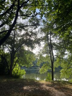 Haus am See - - 7