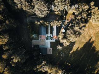 Budzi nas las Marcyporęba - Duży domek - - 9