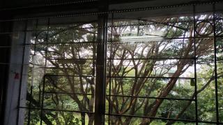Nest - Pune - 5