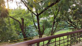 Nest - Pune - 4