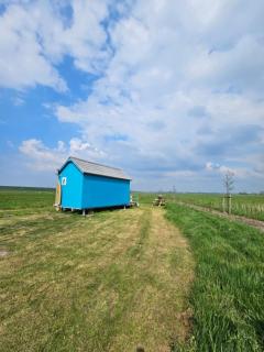 Surf Shack - Scharendijke - 0