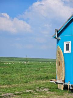 Surf Shack - Scharendijke - 7