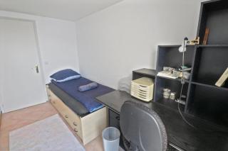 Rivage 37 in St Gingolph bright and spacious 2 bedrooms - Saint-Gingolph - 4