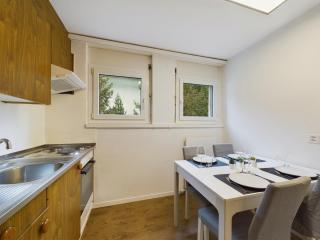 Pure Comfort! Entire Apartment with Abundant Space near Zermatt with parking! - Täsch - 3