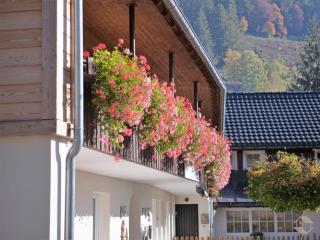 Albhof Am Wasserfall - St. Blasien - 6