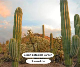 Snug 2BR-Spring Training! w Pool, Gym & Parking - Tempe - 1