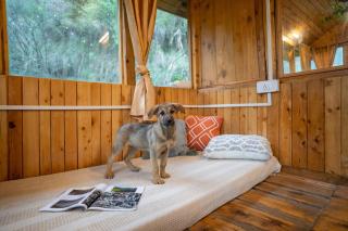 Magnificent Treehouse Valley View By Bastiat Stays - 6