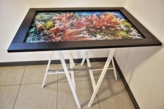 Galeria Kolorów pokój dla par - Łódź - 6