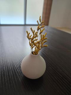 ONsales Haneda Airport 3 minutes by train 5 minutes on foot Private house Japanese garden - Tokyo - 1