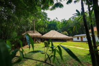 Bamboo Grove - Mānantoddy - 9