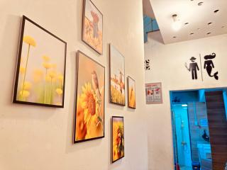 Little Garden Homestay - Ho Chi Minh - 4