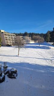 Zweizimmerwohnung - Ferienwohnung im Sankt Englmar - 8