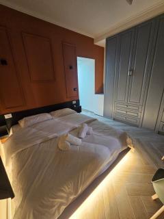 Central Studio Myslym Shyri str - Tirana - 0