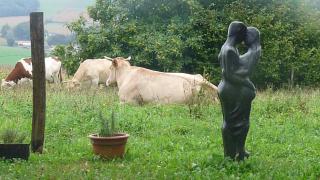 Maison Aurelia - Araujuzon - 2