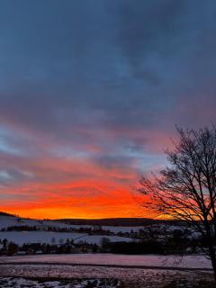 Gitti's Ferienwohnung - 5