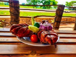 WEDA GEDARA NATURE RESORT & Spa - Pannanpitiya - 9