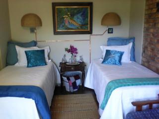 KINGFISHER BLUE on Milkwood - Sabie - 9