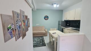 Tirana Old Street 2 - 3