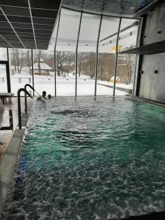 Caryńska Resort & SPA - Lutowiska - 7