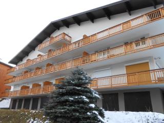 Appartement cosy 6 pers, balcon, animaux admis, parking - FR-1-516-4 - Les Deux Alpes - 9
