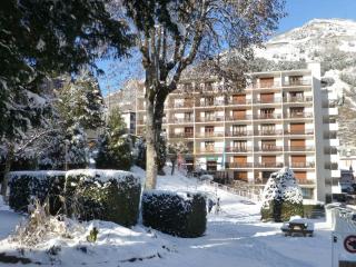 Studio 2 pers avec balcon est spacieux, centre station proche thermes et télécabine, parking inclus - FR-1-512-151 - 8