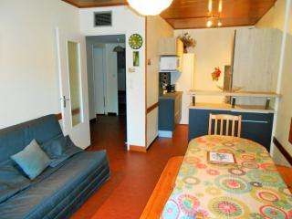 Appartement 8 pers, centre station, proche pistes et animations, balcon sud, parking privé - FR-1-516-5 - Les Deux Alpes - 0