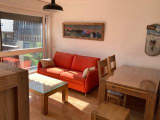 Appartement accueillant au pied des pistes avec balcon et cuisine équipée - FR-1-516-21 - Les Deux Alpes - 0
