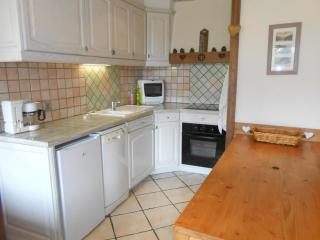 Très bel appartement duplex spacieux - 8 pers, animaux admis - FR-1-516-17 - Les Deux Alpes - 0