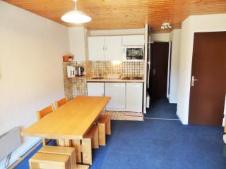À deux pas des pistes et de la crèche, appartement cosy avec terrasse, parking et casier à ski. - FR-1-516-66 - Les Deux Alpes - 0