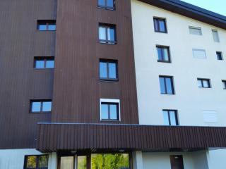 Studio cosy 4 pers, balcon sud, pied des pistes, navette gratuite, animaux acceptés - FR-1-516-158 - Les Deux Alpes - 2